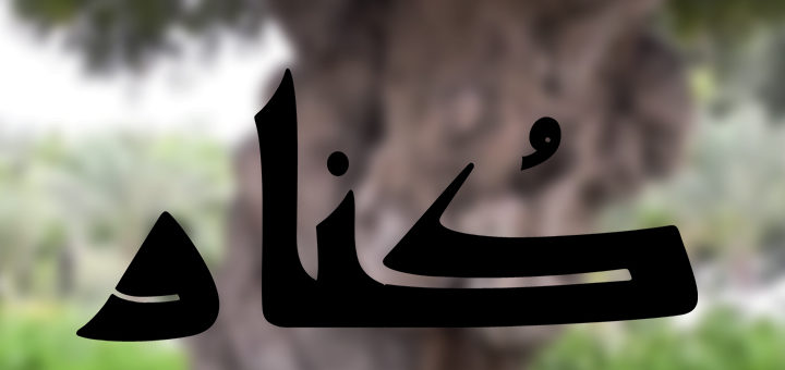 قصه ی سبز – کُنار